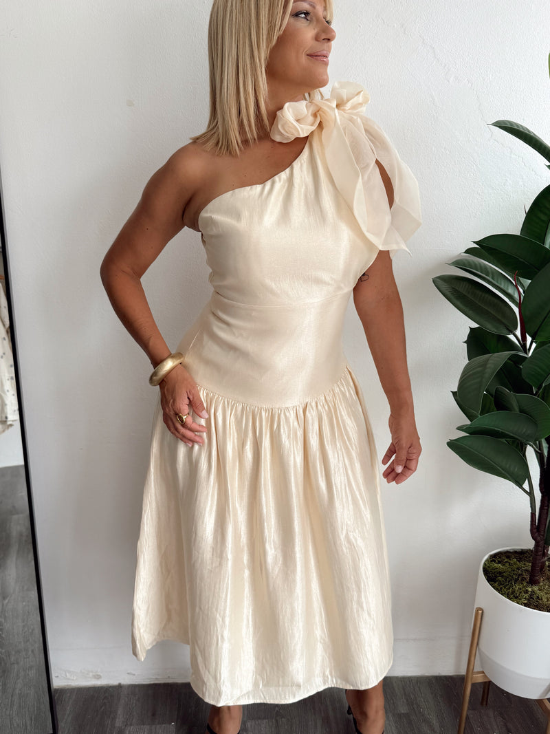 Taupe dress
